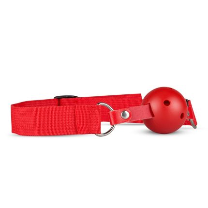 Verschillende SM- en bondagespeeltjes
