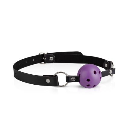 Verschillende SM- en bondagespeeltjes