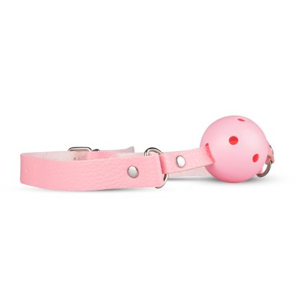 Verschillende SM- en bondagespeeltjes