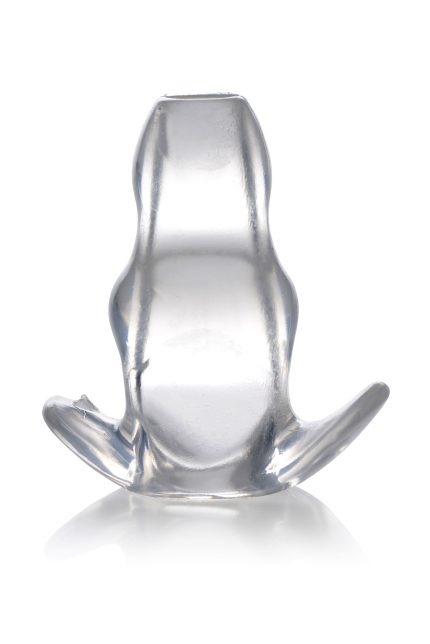 Transparant model