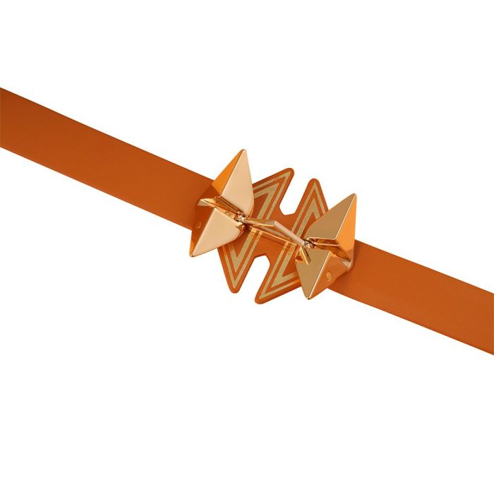Wordt geleverd met riem