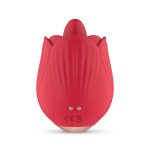 IPX6 waterbestendig