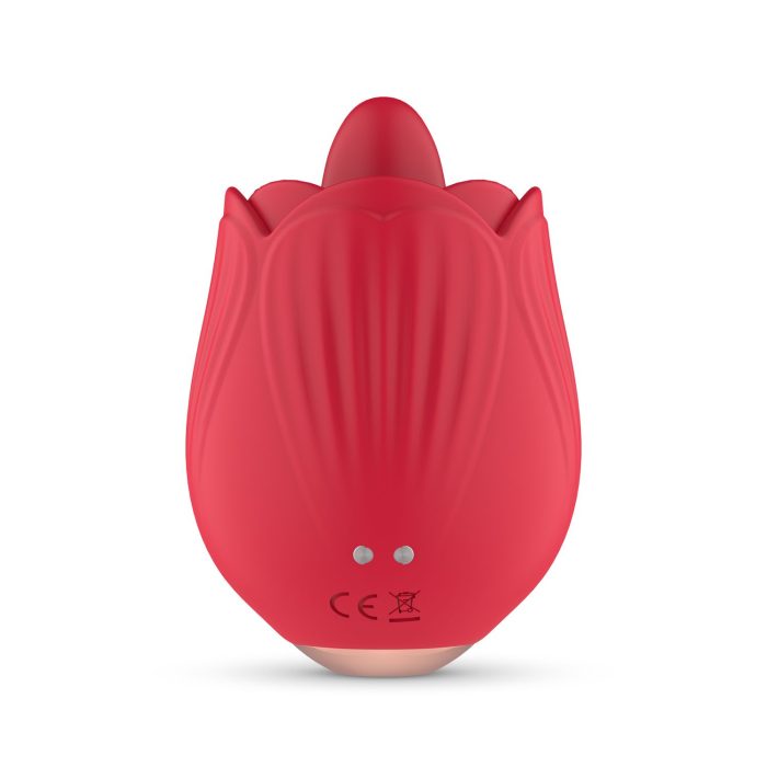 IPX6 waterbestendig