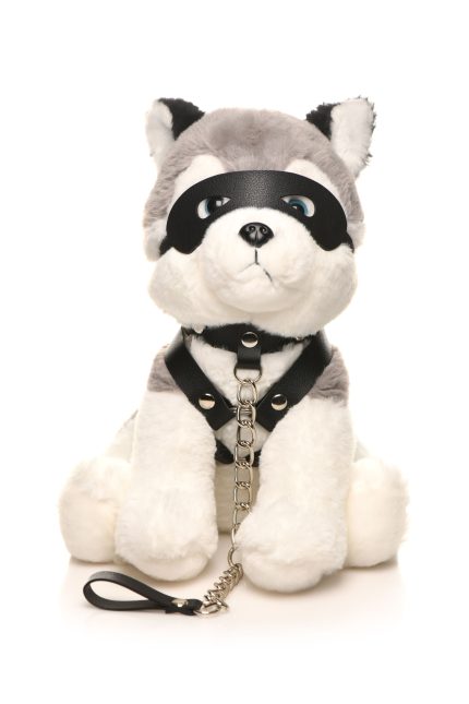 Een speelse husky pup voor avontuur