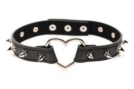 Stijlvolle halsband met spikes