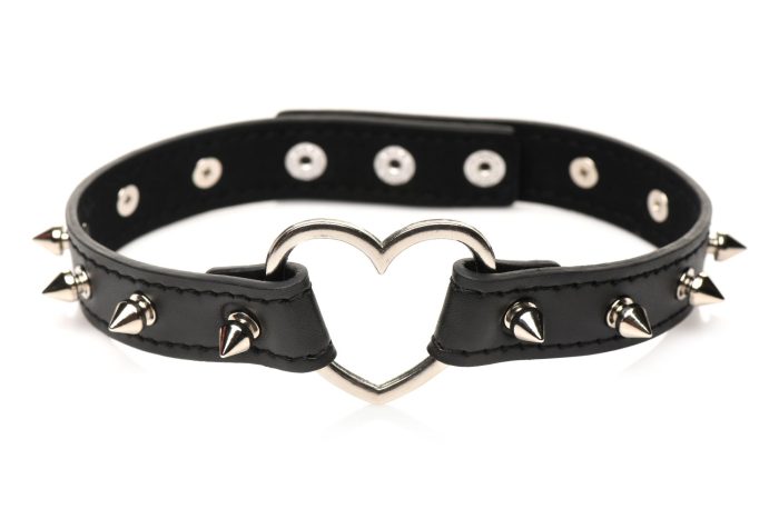 Stijlvolle halsband met spikes