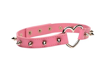 Stijlvolle halsband met spikes